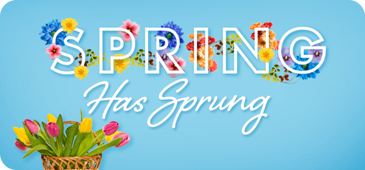 Springtime Savings Terms and Conditions